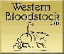 Western Bloodstock